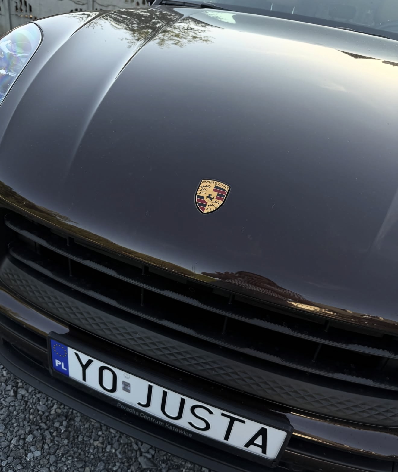 Przód Porsche z logo na masce